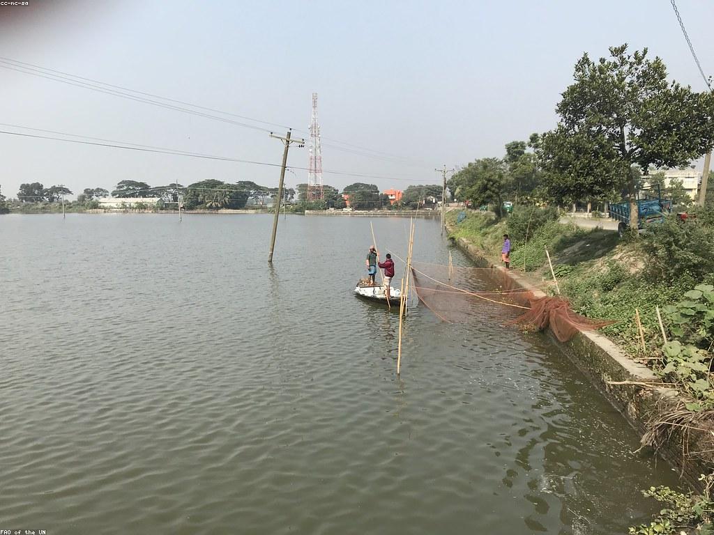 គន្លឹះបាញ់ត្រី: ការរុករកយុទ្ធសាស្ត្រ និងបច្ចេកទេសថ្មី