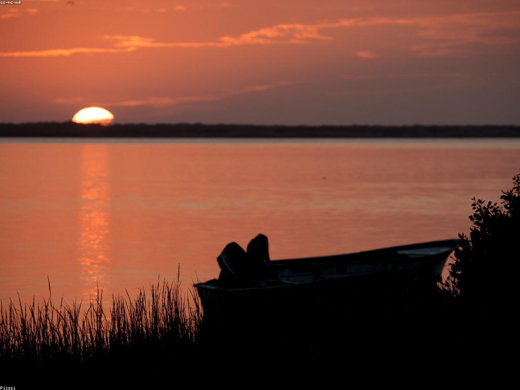 យុទ្ធសាស្ត្រសំរាប់ការបាញ់ត្រី