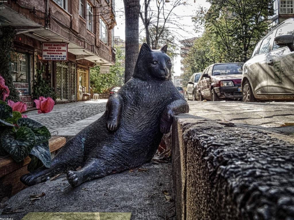 គន្លឹះបាញ់ត្រី: ដើម្បីចាប់ត្រីបានល្អប្រសើរ