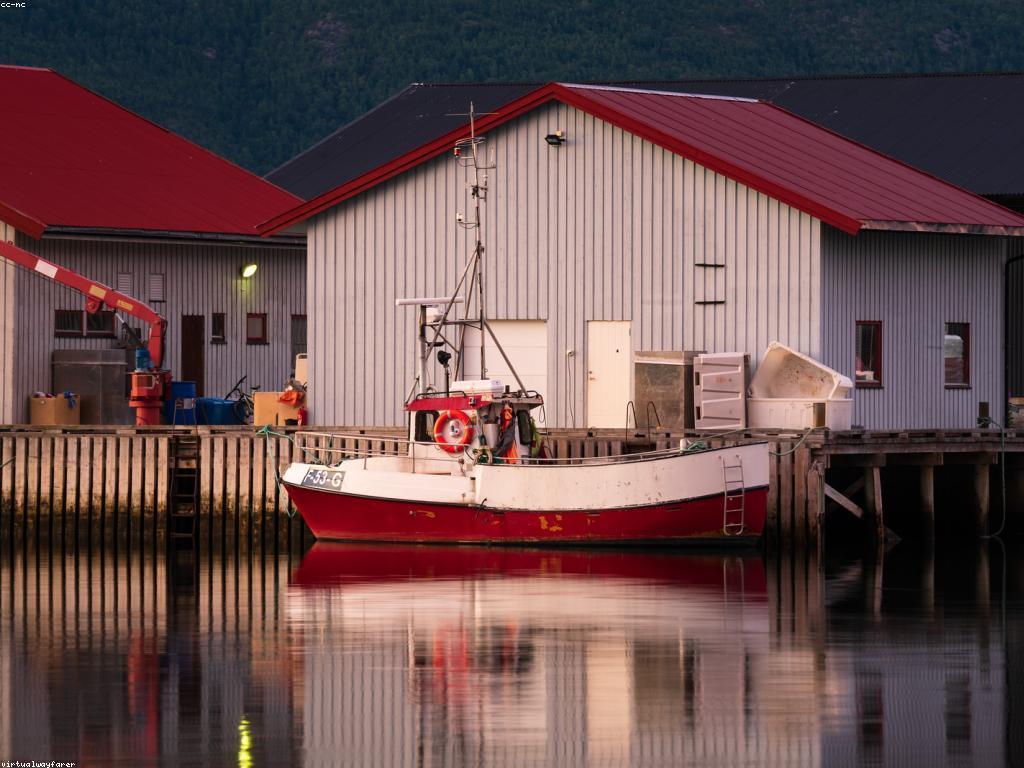 គន្លឹះបាញ់ត្រី: ការរុករកយុទ្ធសាស្ត្រ និងបច្ចេកទេសថ្មី